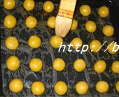 杏仁全麦小西饼,面团用手搓成一个个的小圆球,放在烤盘