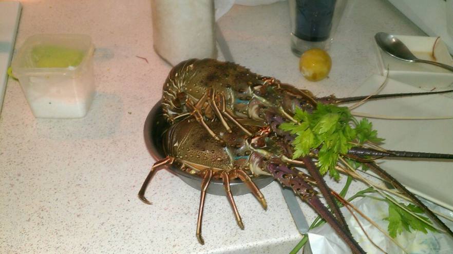 地中海的龙虾