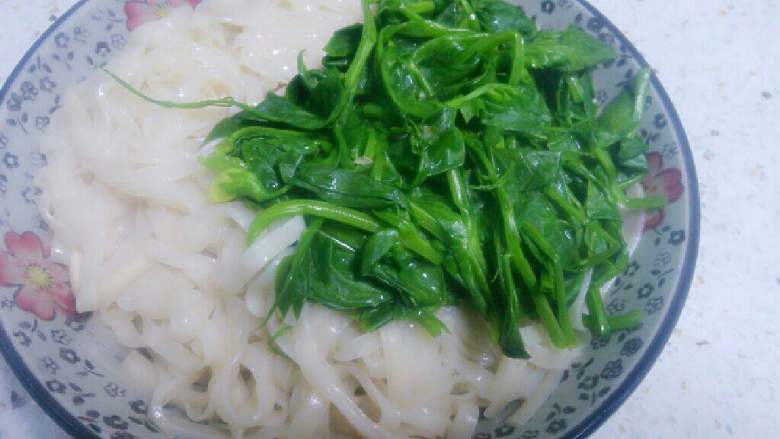 炸酱面,在炒酱料时汤锅烧水煮好<a style='color:red;display:inline-block;' href='/shicai/ 526'>面条</a>，胡萝卜丝，青叶菜焯水摆放盘中，黄瓜丝码盘中。