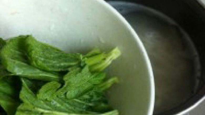 牛肉辣椒汤米粉,在放入<a style='color:red;display:inline-block;' href='/shicai/ 3517'>青菜</a>。