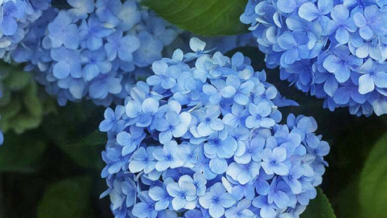 牛奶蛋花汤,可以喝这个然后配上一些面包，这是个非常丰富的早餐了，又营养又好吃。你快来试试吧。