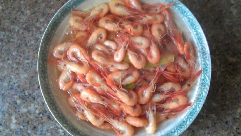 盐水虾