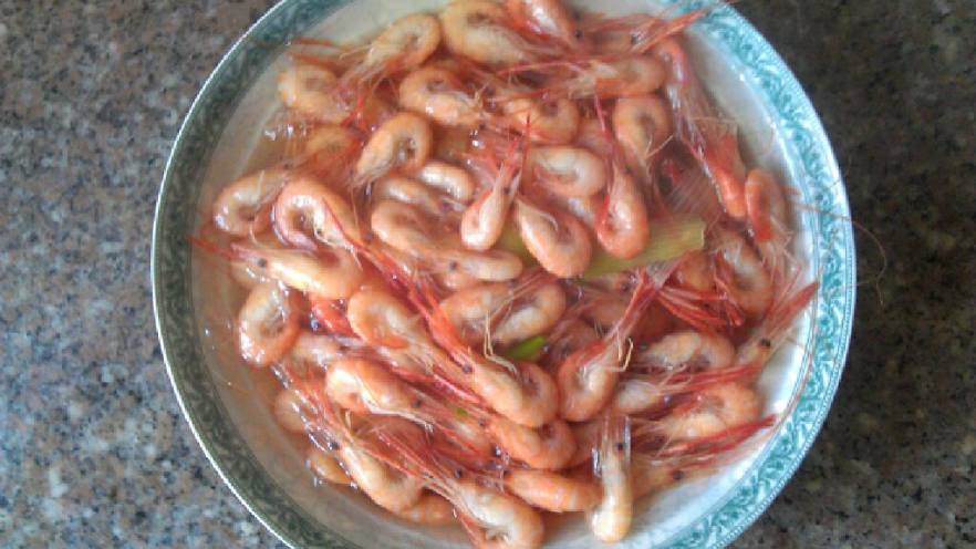 盐水虾