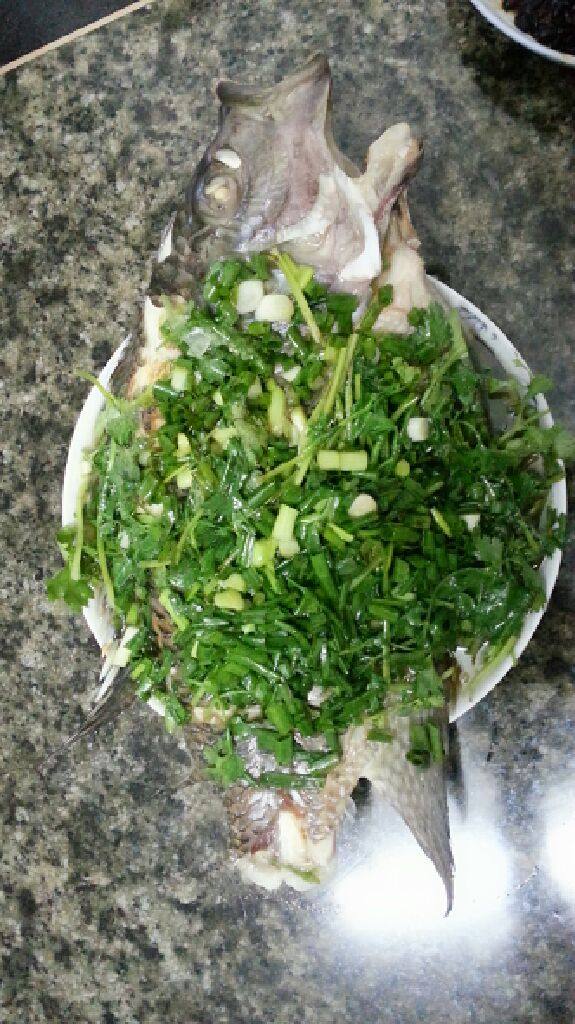 清蒸鲫鱼