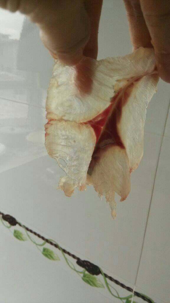 菊花捶鱼,如图越薄越好,切完为址