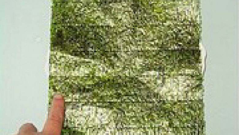 爆浆鸡蛋,然后用手把水都抹在海苔上，海苔就变软了。