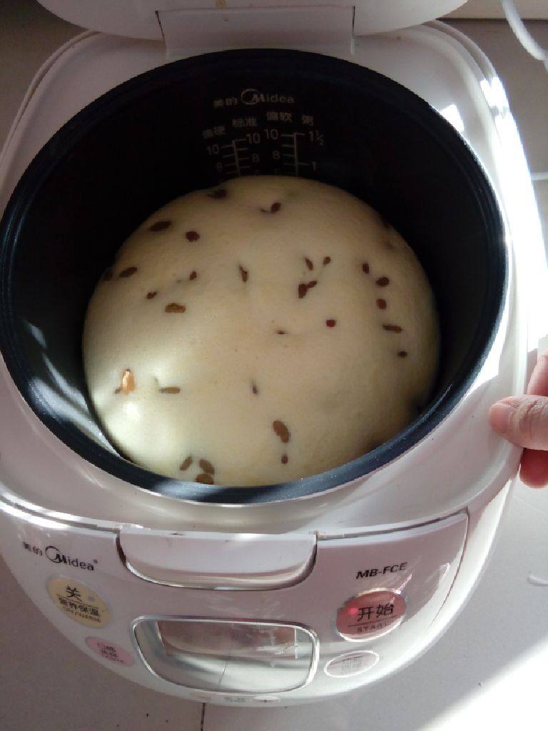 葡萄干蛋糕