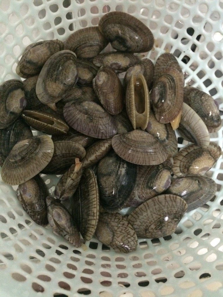 油蛤煲豆腐,如图油蛤洗净沥干水分备用;