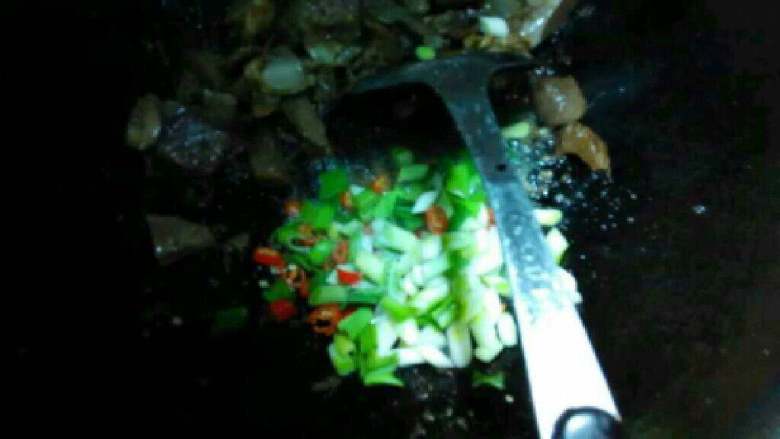 自制【红烧羊肉】,羊肉炒变色后，在放进红辣椒和蒜苗。