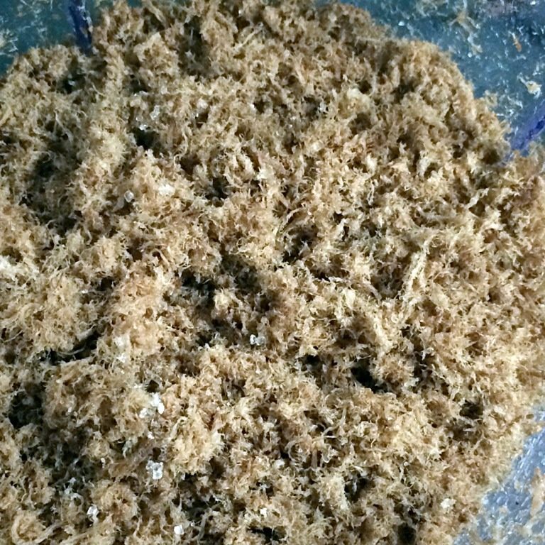 宝宝海苔牛肉松,如图,再次搅拌机搅拌