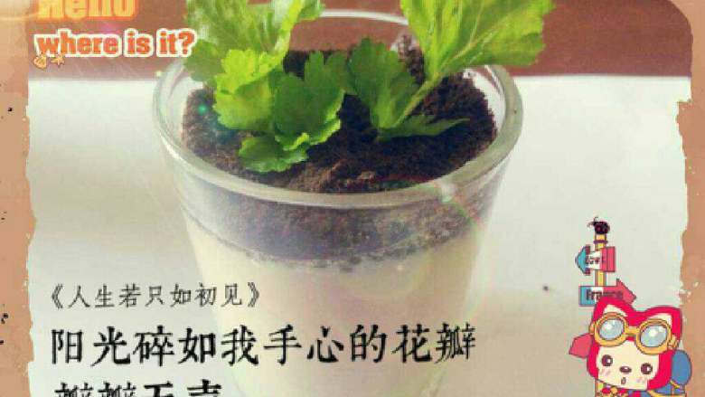 彩虹布丁,均匀的撒在布丁的上层,用绿色叶子点缀。(也可以用薄荷叶)