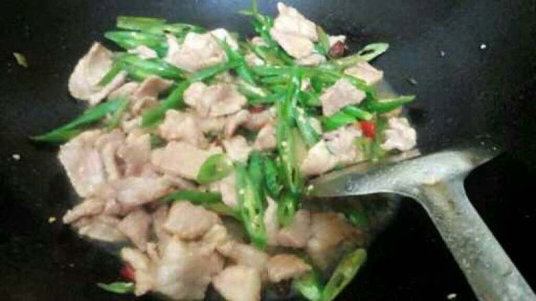 自制【青椒炒肉】,在把炒过的肉倒进去一起翻炒片刻,在加适量盐调味撒上葱花即可。