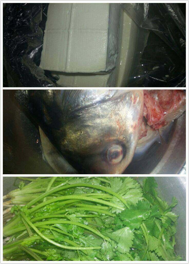 芫茜薏米鱼头豆腐汤,材料各准备好。