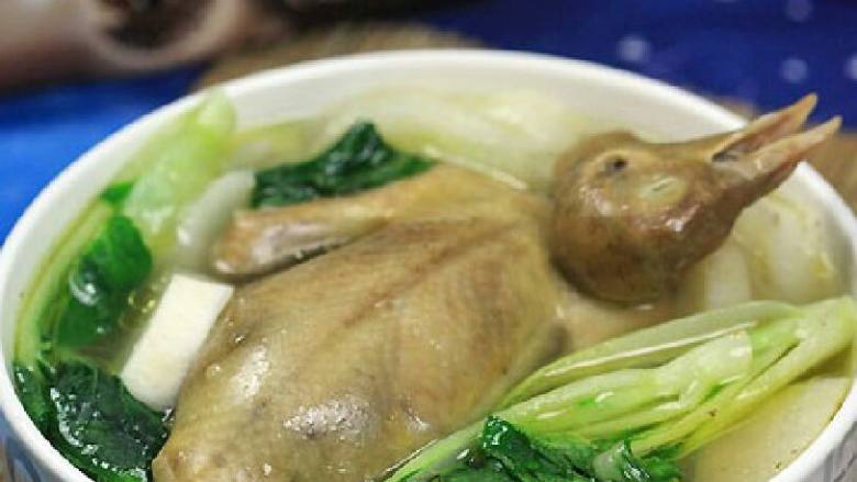 黄山炖鸽