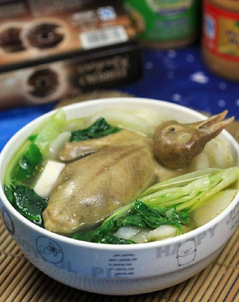 黄山炖鸽
