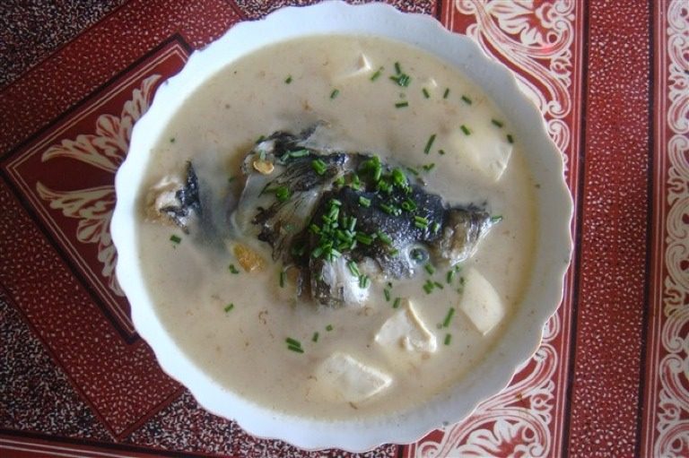 鱼头豆腐汤