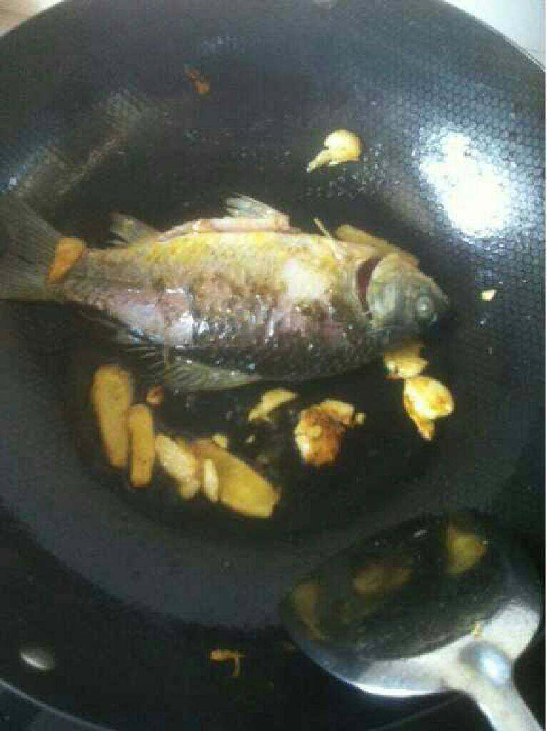 下奶的鲫鱼汤,放入鱼煎金黄色