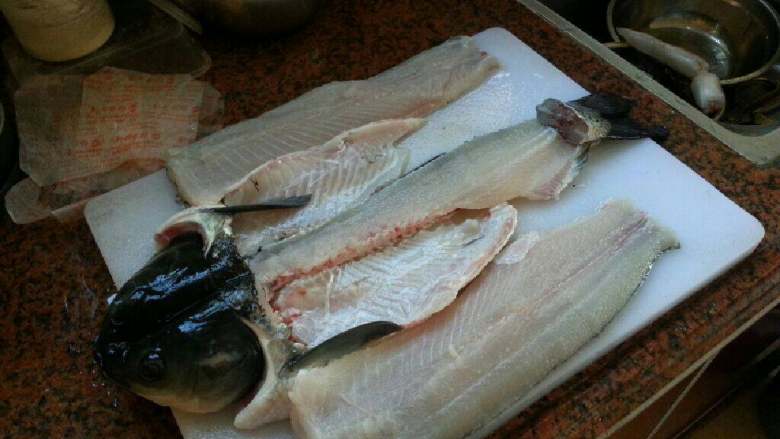 水煮活魚,先將草魚去頭去尾,把帶刺部分魚骨還有肉多部分分離,如圖