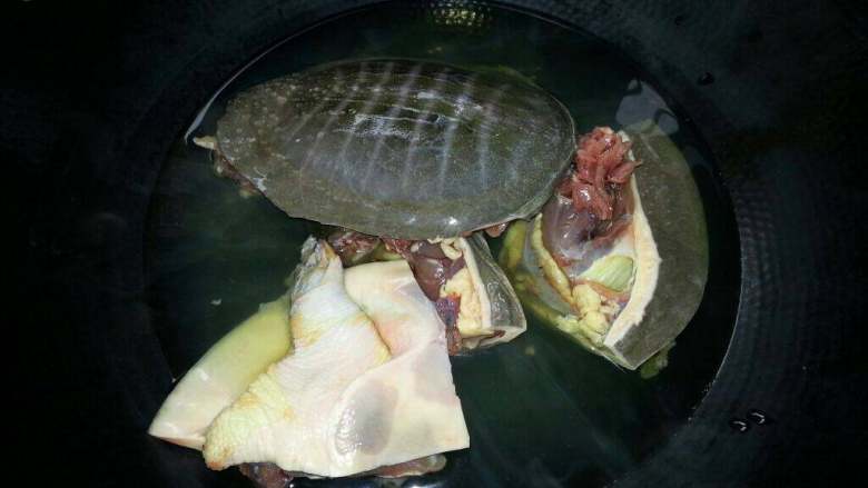 水鱼鸡煲火锅汤底料,锅子加2碗水煮开放入水鱼焯水下即捞出、清理干净表面层黄皮(比较脏)后备用、