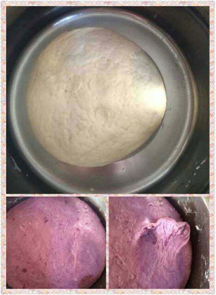 紫薯肉包,开始放锅里发酵,分别两个面团