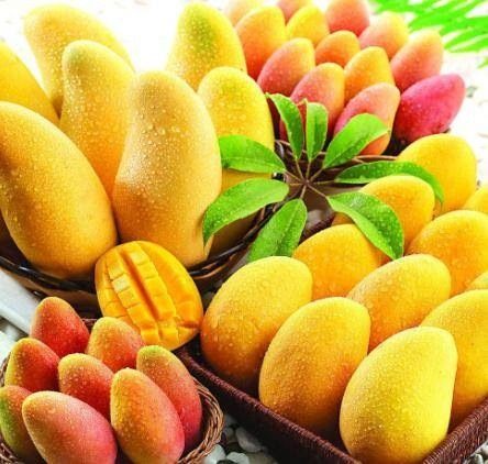 不同水果适合不同人群