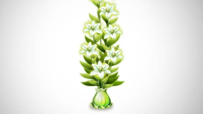 辣白菜粉