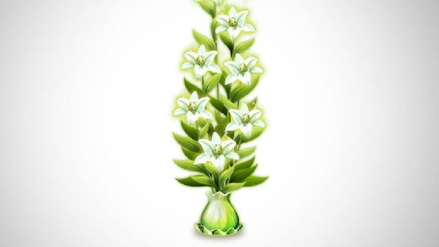 辣白菜粉