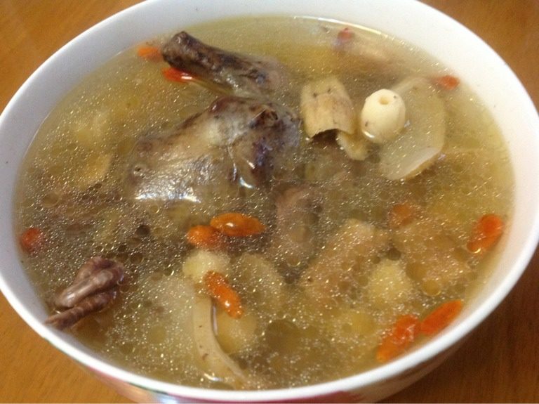 炖乳鸽药膳汤
