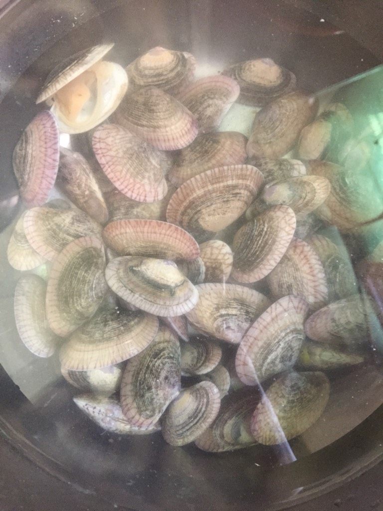 炒花甲,如图用水泡20分钟