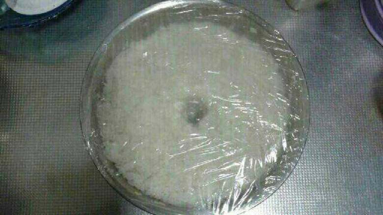 自制甜酒酿,盖上保鲜膜放冰箱冷藏快一点,不放冰箱就4天后就差不多了