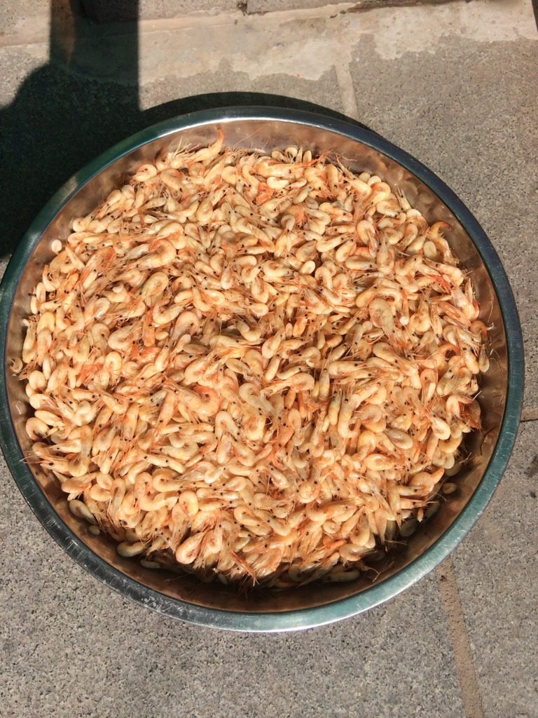 虾皮