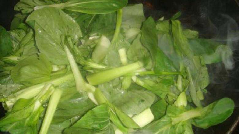 平菇炒青菜,起油锅，倒入青菜翻炒一下