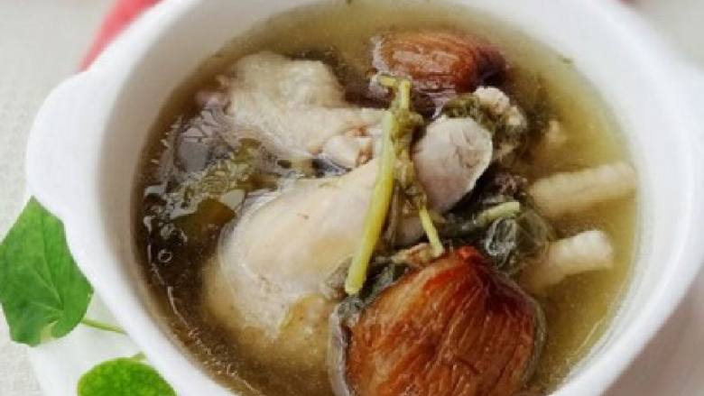 鱼腥草炖鸡汤