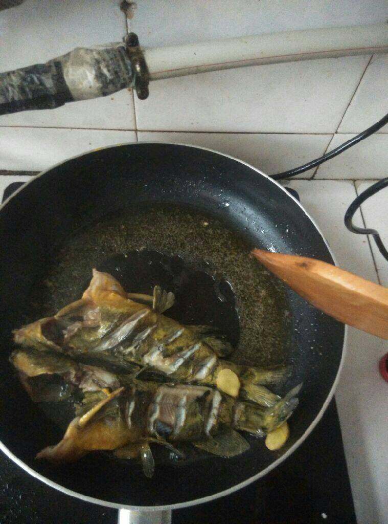 黄骨鱼豆腐汤,油锅烧热,倒入食用油,挑出腌制的生姜和黄骨鱼,煎至两面金黄