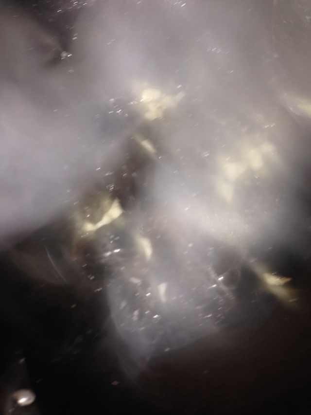 云耳炒豆腐皮白菜,4.热过放油,油热后放入大蒜和云耳