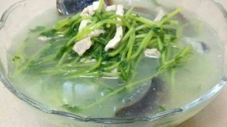 上汤豆苗