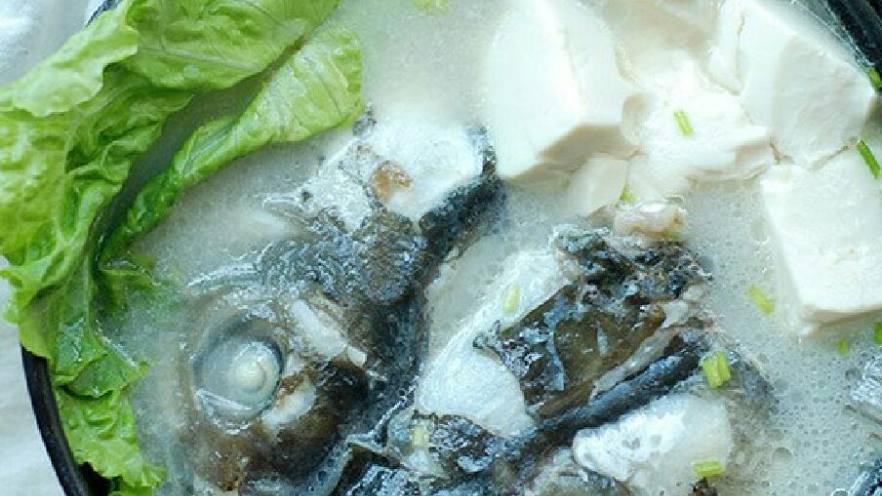 鱼头豆腐煲