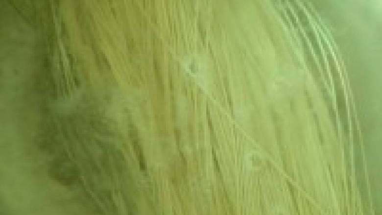 酸辣热汤面,锅中烧热水 快开的时候放入龙须面 煮开后中途加一次冷水 再煮开一次关火