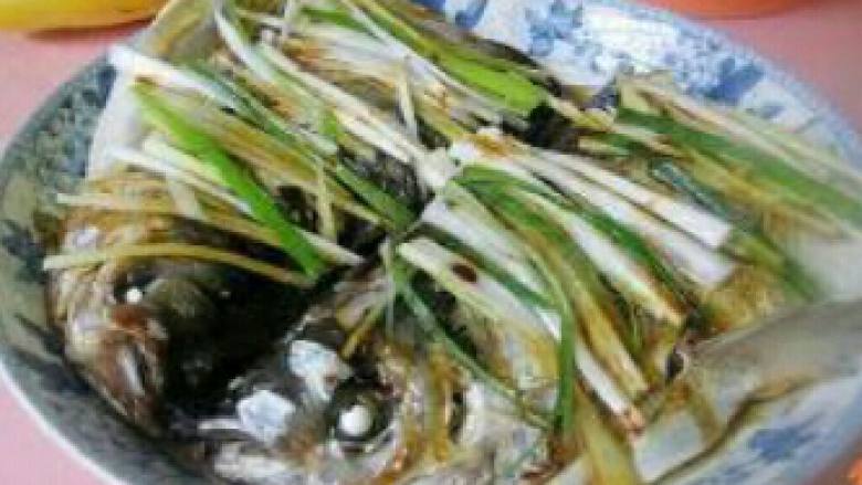 清蒸白鱼头