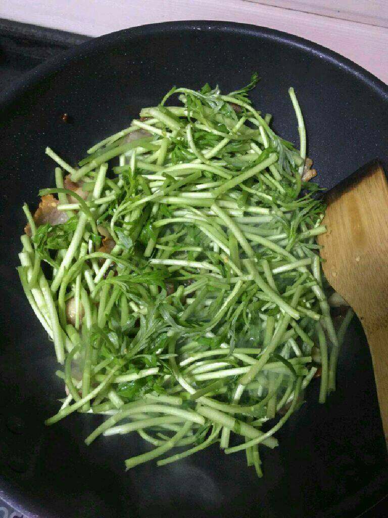 篱蒿炒腊肉,在放入篱蒿翻炒片刻。