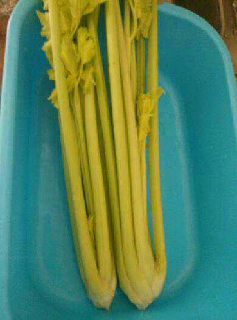 猪肉芹菜馅饺子,<a style='color:red;display:inline-block;' href='/shicai/ 125'>芹菜</a>摘去叶子,洗净控水
