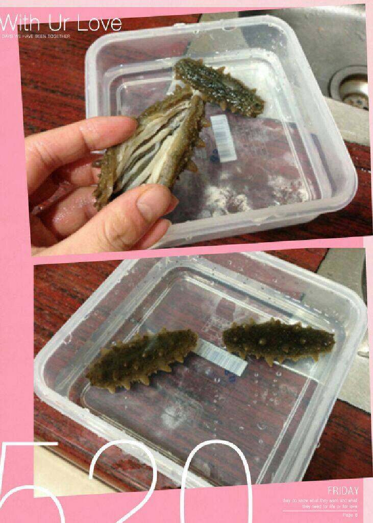 【炖海参】,两天后拿出来,把肚子用刀划开,洗掉脏东西,剩这些白条,千万别弄掉,最营养了,刺参是这样的,其它的我还待了解。72小时后就完全泡发好了。
