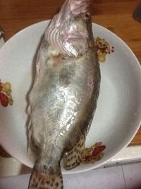 清蒸鲑鱼,准备好鲑鱼,洗净
将生姜、大葱和红辣椒切好,放入盘中