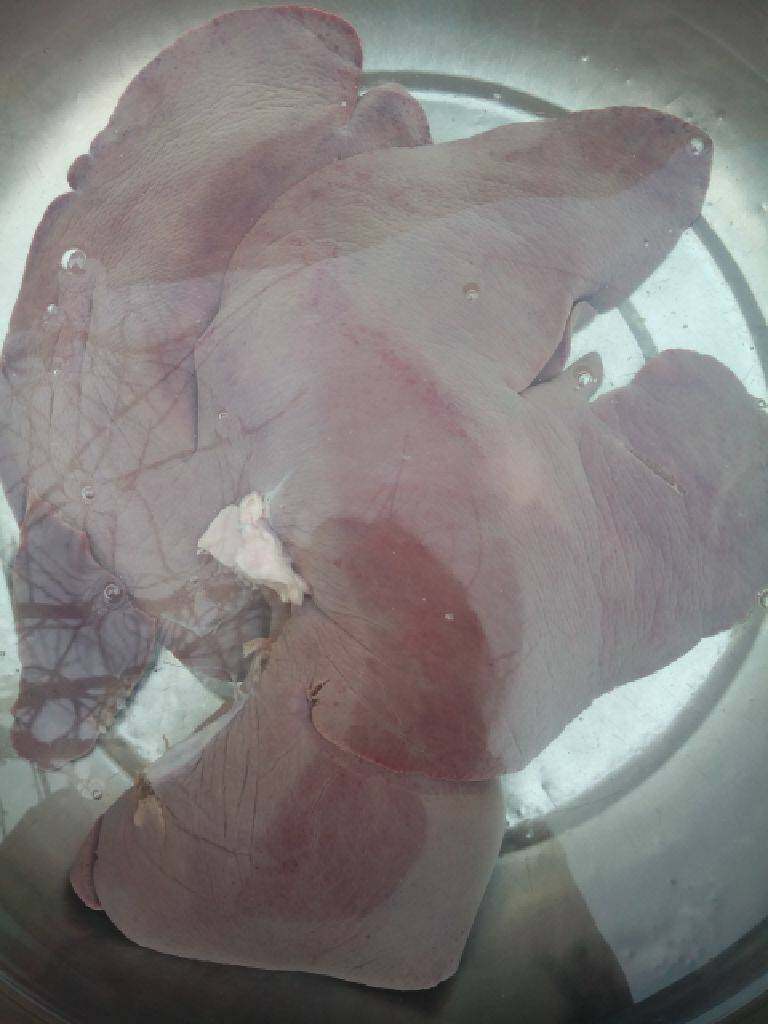 卤猪肝,把<a style='color:red;display:inline-block;' href='/shicai/ 419'>猪肝</a>放在水里泡血水一个小时，中间换几次水