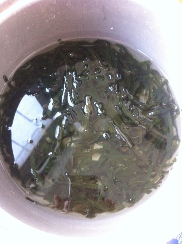 轻素食白萝卜虾仁海带炖白菜,把<a style='color:red;display:inline-block;' href='/shicai/ 277'>海带</a>泡好，因为我用的是干<a style='color:red;display:inline-block;' href='/shicai/ 277'>海带</a>丝