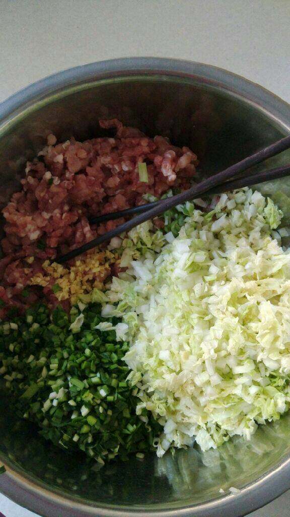 白菜猪肉水饺,用温<a style='color:red;display:inline-block;' href='/shicai/ 156925'>水</a>和面，面和好后醒1小时，醒面过程准备馅，<a style='color:red;display:inline-block;' href='/shicai/ 3250'>葱</a><a style='color:red;display:inline-block;' href='/shicai/ 37'>姜</a>切末，<a style='color:red;display:inline-block;' href='/shicai/ 114'>白菜</a>和<a style='color:red;display:inline-block;' href='/shicai/ 116'>韭菜</a>洗净控<a style='color:red;display:inline-block;' href='/shicai/ 156925'>水</a>切小丁，和肉馅都放一起