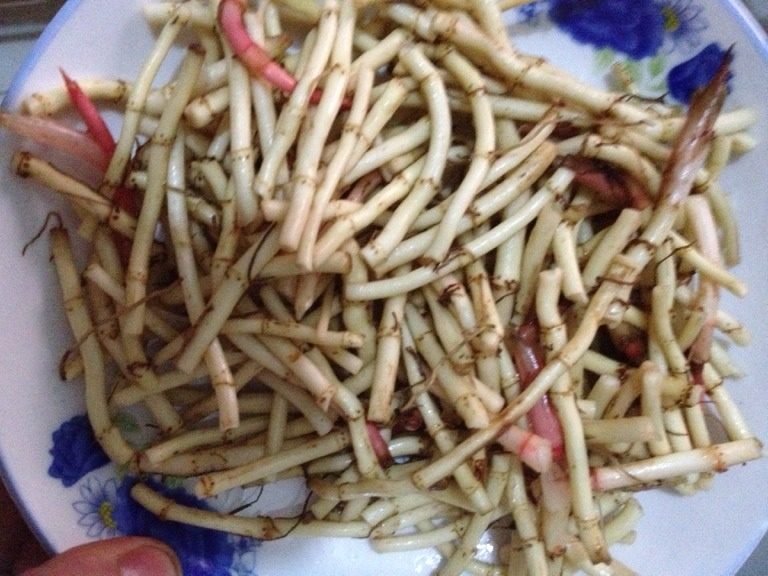 腊肉折耳根,如图切节的<a style='color:red;display:inline-block;' href='/shicai/ 2694'>折耳根</a>