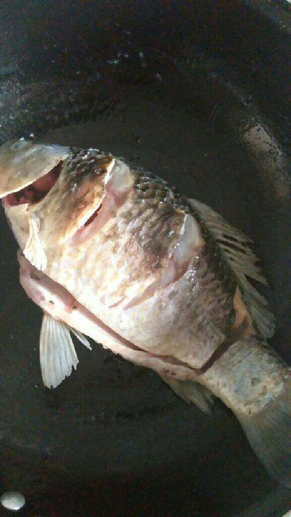 鱼头豆腐汤,将鱼身划三刀，正反两面，用盐和料酒腌一下，葱姜切丝，起锅热油，用大块姜擦锅，可以起到不粘锅的效果把鱼煎一下