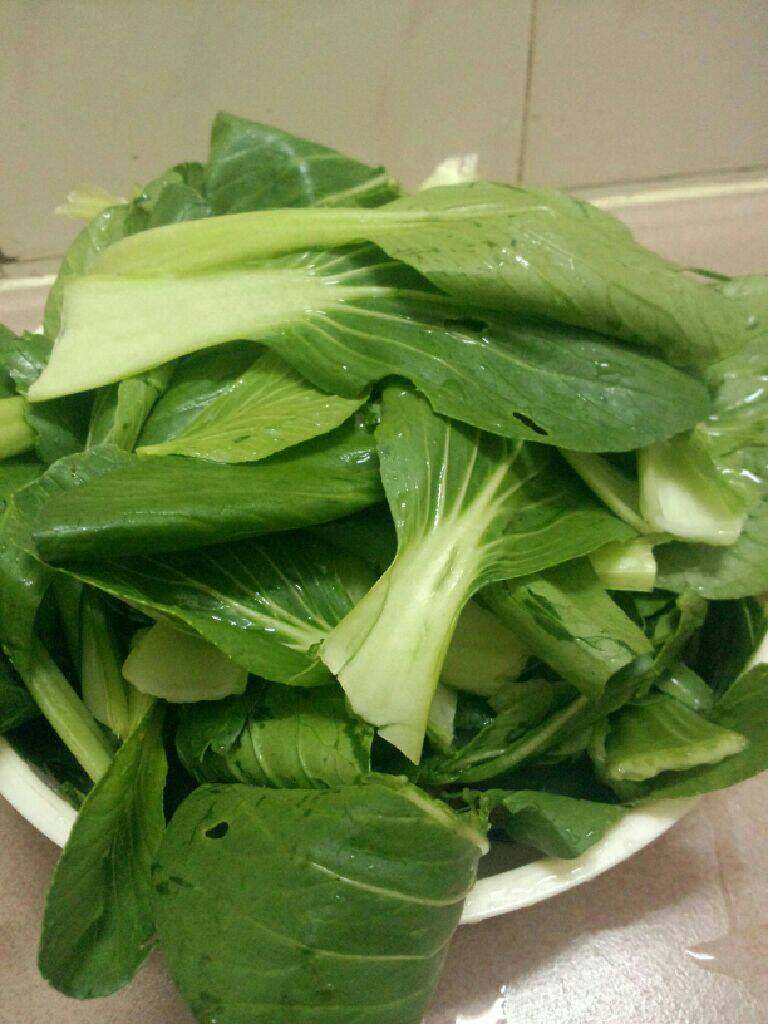 蒜炒青菜,<a style='color:red;display:inline-block;' href='/shicai/ 3517'>青菜</a>挑洗干净干停水待用