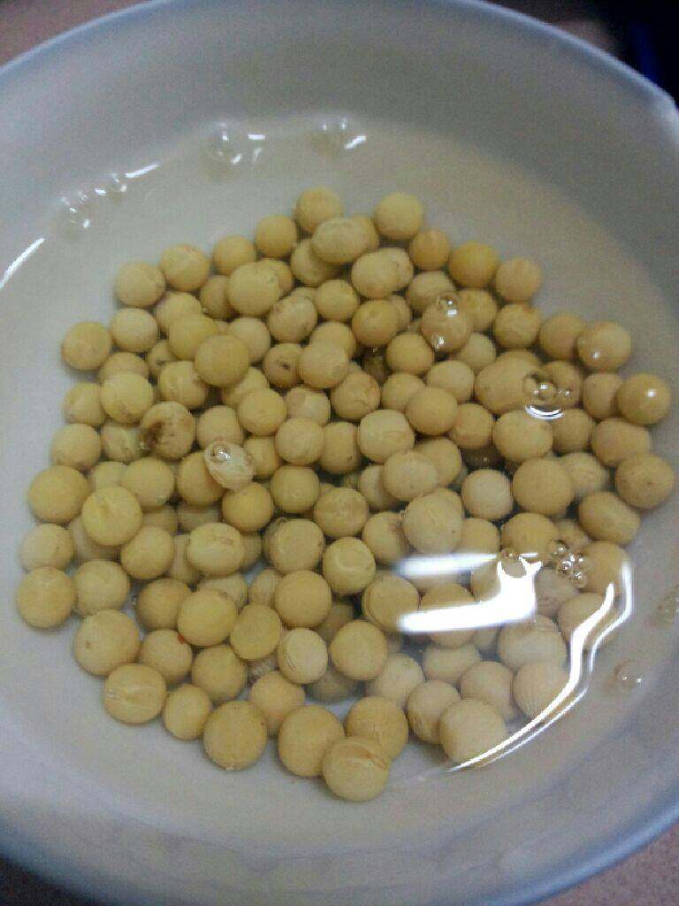 苦瓜灌肉汤,<a style='color:red;display:inline-block;' href='/shicai/ 3603'>黄豆</a>提前两小时用开水泡